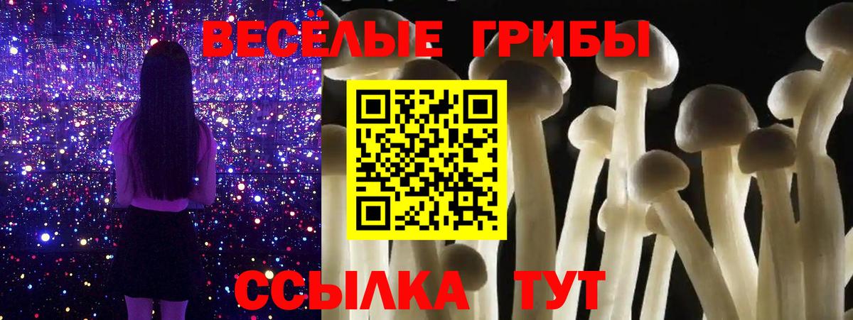 Галлюциногенные грибы GOLDEN TEACHER Саранск